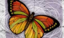 Butterfly Series II